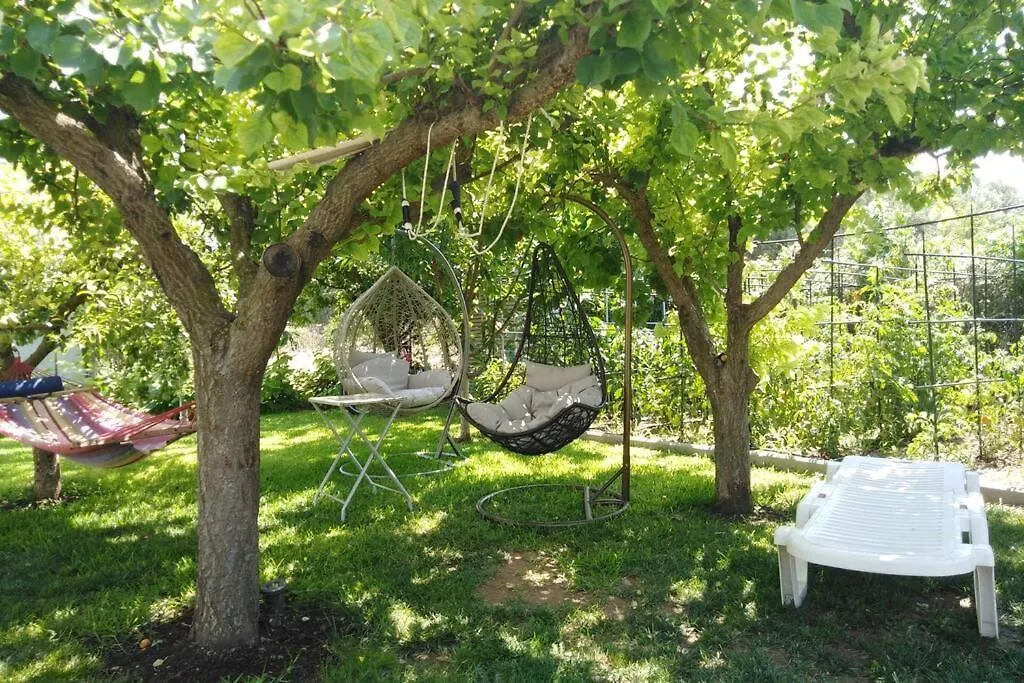 Villa Viktoria Halkidiki Nea Silata 0*,