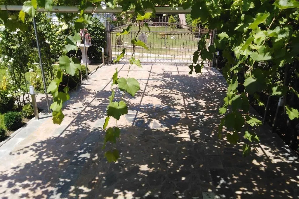 Villa Viktoria Halkidiki Nea Silata Greece